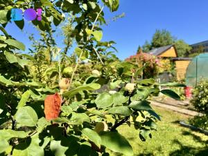 Prodej zahrady, Karviná, 163 m2