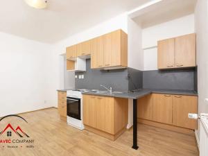 Pronájem bytu 1+1, Ostrava, Palackého, 42 m2