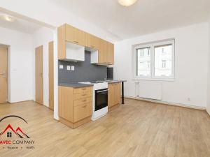 Pronájem bytu 1+1, Ostrava, Palackého, 42 m2