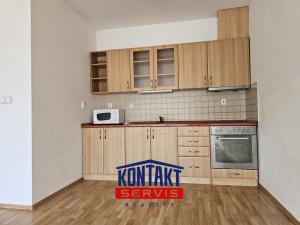 Pronájem bytu 1+kk, České Budějovice - České Budějovice 5, 47 m2