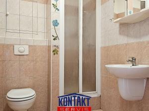 Pronájem bytu 1+kk, České Budějovice - České Budějovice 5, 47 m2