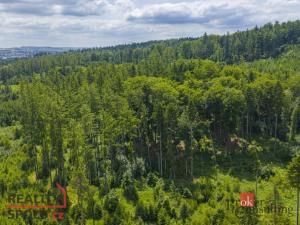 Prodej pozemku pro bydlení, Jihlava - Zborná, 704 m2