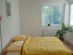 Prodej rodinného domu, Chomutov, Alešova, 296 m2