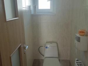 Prodej rodinného domu, Chomutov, Alešova, 296 m2