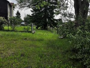 Prodej výrobních prostor, Bochov, Nádražní, 800 m2