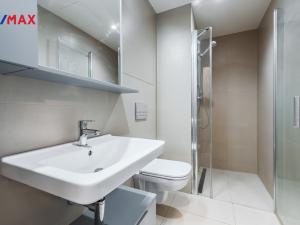 Pronájem bytu 1+kk, Praha - Libeň, U Vlachovky, 44 m2