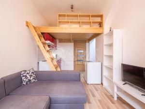 Pronájem bytu 1+kk, Praha, Pod Labuťkou, 45 m2