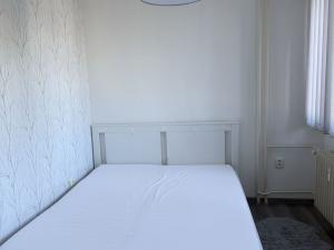 Pronájem bytu 3+kk, Mladá Boleslav - Mladá Boleslav II, Purkyňova, 64 m2