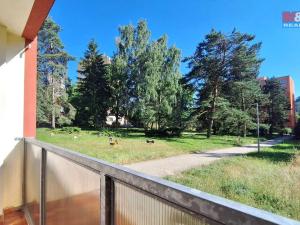 Prodej bytu 1+kk, Nový Bor, Sadová, 19 m2