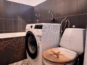 Prodej bytu 1+kk, Nový Bor, Sadová, 19 m2