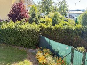 Pronájem bytu 2+kk, Včelná, Dolní, 42 m2