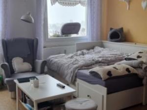 Pronájem bytu 1+kk, Planá, Bohušova, 31 m2