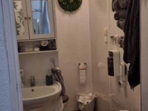 Pronájem bytu 1+kk, Planá, Bohušova, 31 m2