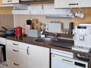 Pronájem bytu 1+kk, Planá, Bohušova, 31 m2