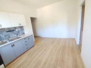 Pronájem bytu 1+1, Ostrava - Heřmanice, Parcelní, 45 m2