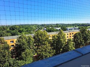 Pronájem bytu 1+kk, Hradec Králové, Jungmannova, 35 m2