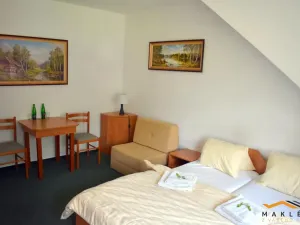 Pronájem ubytování, Dehtáře - Onšovice, 456 m2