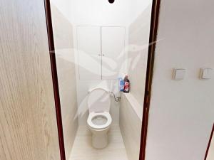 Pronájem bytu 3+1, Plzeň, Manětínská, 62 m2