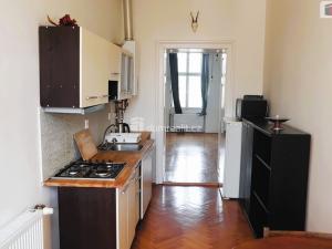 Pronájem bytu 1+1, Brno - Ponava, Pionýrská, 48 m2