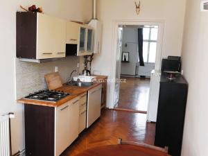 Pronájem bytu 1+1, Brno - Ponava, Pionýrská, 48 m2