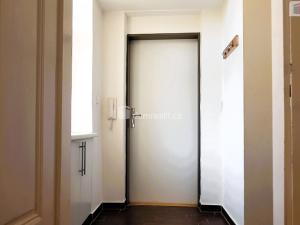 Pronájem bytu 1+1, Brno - Ponava, Pionýrská, 48 m2