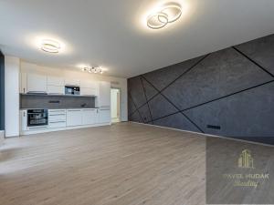 Pronájem bytu 3+kk, Plzeň - Jižní Předměstí, Železná, 115 m2