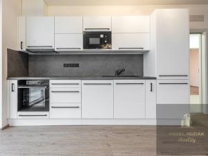 Pronájem bytu 3+kk, Plzeň - Jižní Předměstí, Železná, 115 m2