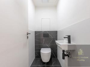 Pronájem bytu 3+kk, Plzeň - Jižní Předměstí, Železná, 115 m2