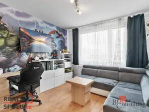 Prodej bytu 3+1, Mladá Boleslav - Mladá Boleslav II, Na Radouči, 82 m2