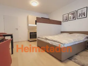 Pronájem bytu 1+kk, Plzeň - Jižní Předměstí, Magisterská, 28 m2