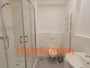 Pronájem bytu 1+kk, Plzeň - Jižní Předměstí, Magisterská, 28 m2