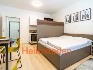 Pronájem bytu 1+kk, Plzeň - Jižní Předměstí, Magisterská, 29 m2