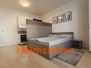 Pronájem bytu 1+kk, Plzeň - Jižní Předměstí, Magisterská, 29 m2