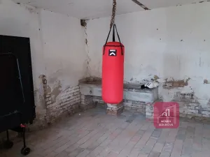 Pronájem rodinného domu, Viničné Šumice, 40 m2