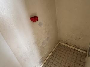 Prodej rodinného domu, Třebelovice, 64 m2