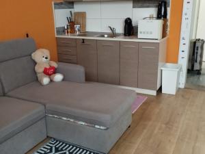 Pronájem bytu 1+kk, Ostrava, Na Hradbách, 32 m2