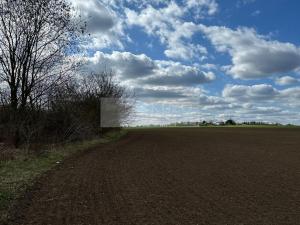 Prodej pozemku pro bydlení, Velké Přílepy, 4077 m2