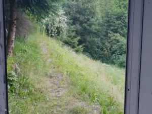 Prodej rodinného domu, Desná - Desná III, Riedlova, 147 m2