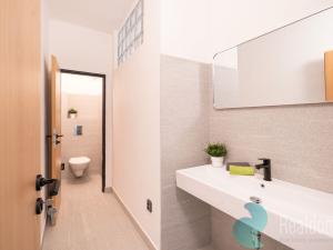 Pronájem kanceláře, České Budějovice, Školní, 610 m2