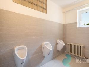 Pronájem kanceláře, České Budějovice, Školní, 610 m2