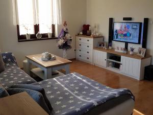 Pronájem rodinného domu, Blažim, 514 m2