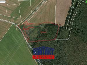 Prodej lesa, Obory, 29026 m2