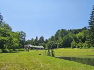 Prodej chaty, Zábřeh - Dolní Bušínov, 600 m2