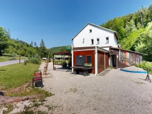 Prodej chaty, Zábřeh - Dolní Bušínov, 552 m2