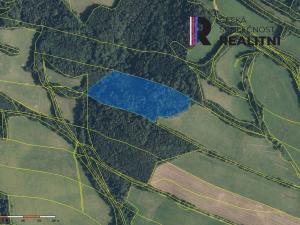 Prodej lesa, Velké Losiny, 28961 m2