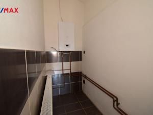Prodej vícegeneračního domu, Protivín - Myšenec, 160 m2