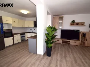 Prodej vícegeneračního domu, Protivín - Myšenec, 190 m2
