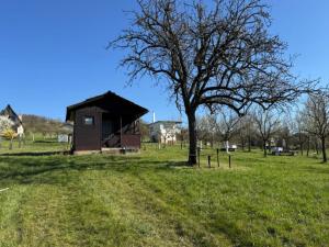 Prodej sadu/vinice, Strážnice, 4353 m2