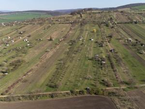 Prodej sadu/vinice, Strážnice, 4353 m2