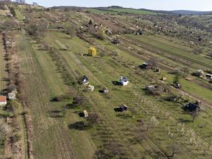 Prodej sadu/vinice, Strážnice, 4353 m2